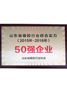 山东省橡胶行业综合实力50强